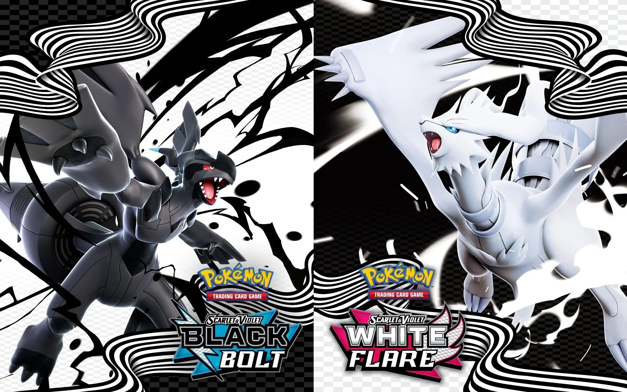 Scarlet & Violet Black Bolt and White Flare